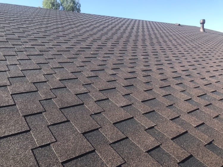 L+ спелый каштан на кровле